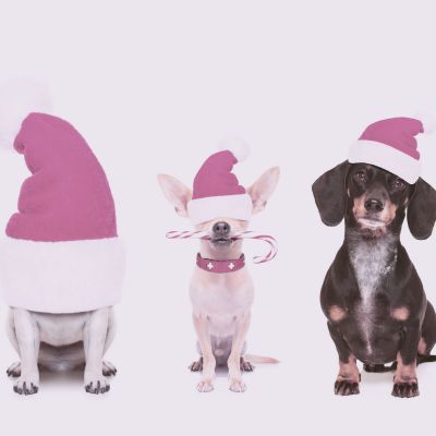 Diversidad en Navidad